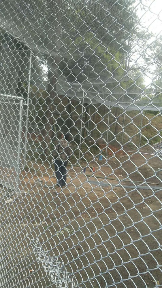 合肥護欄網(wǎng)